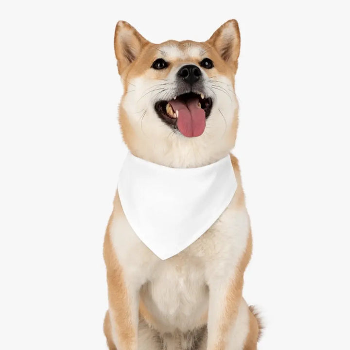 Pet Bandana Collar