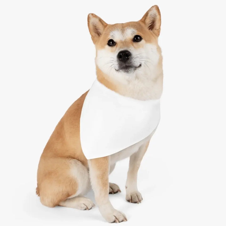 Pet Bandana Collar