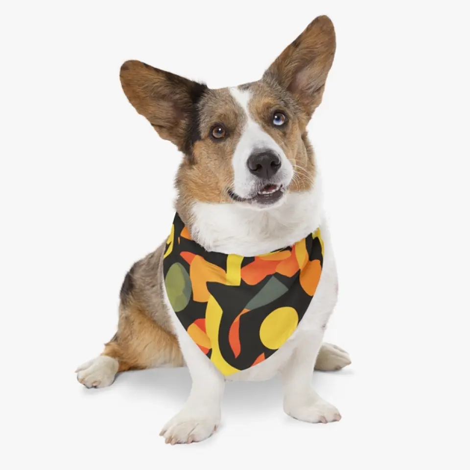 Pet Bandana Collar