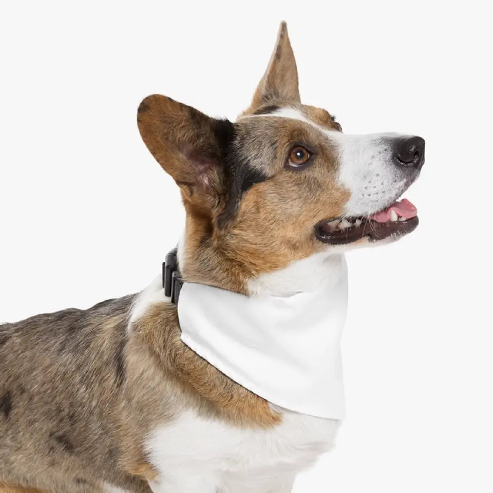 Pet Bandana Collar